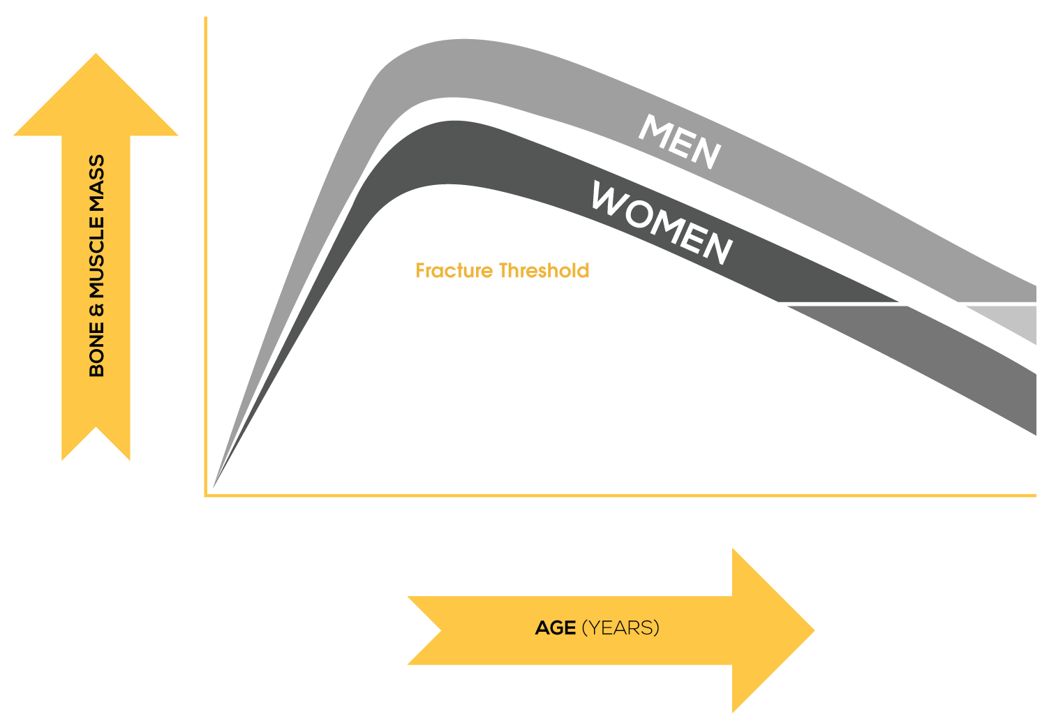 Chart: bone and muscle mass rises to a peak around age 30, then declines with age, dropping below the fracture threshold later in life, with women declining faster than men after menopause